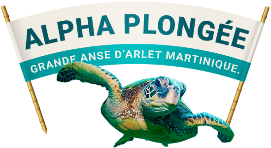 Alpha Plongée
